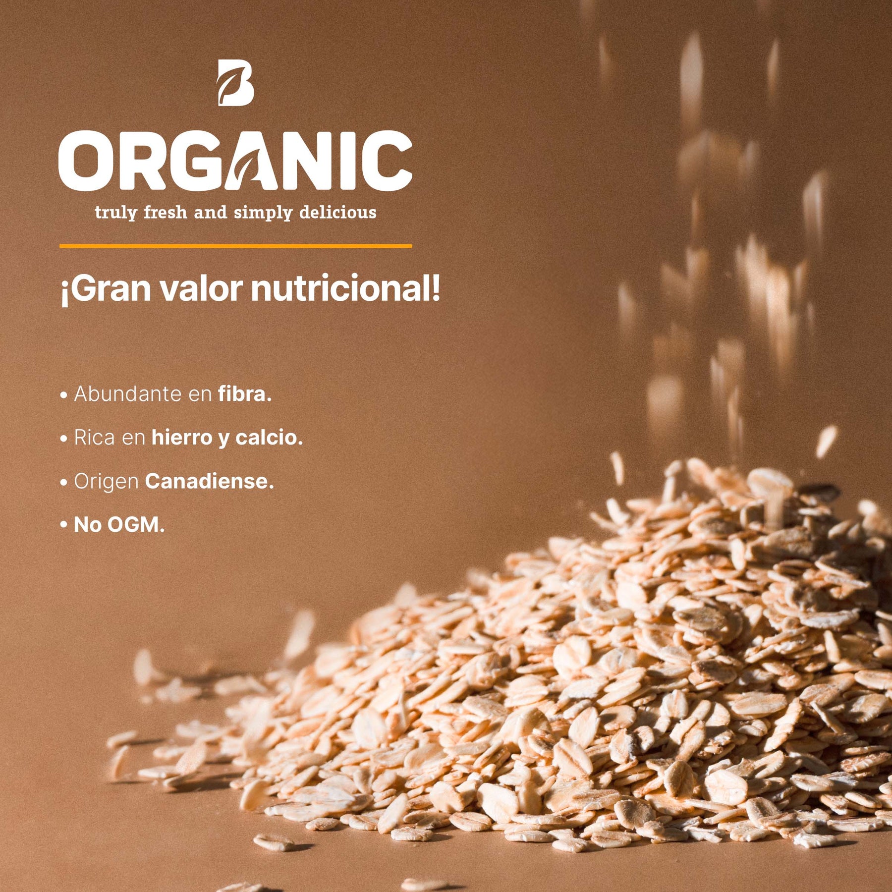 Avena Orgánica Sin Gluten | 2 Kg