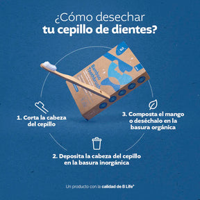 Bamboo Toothbrush | Cepillos Dentales de Bambú 10 o 20 Piezas