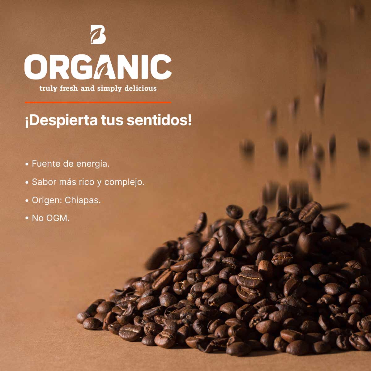 Café en Grano Orgánico | 1 kg