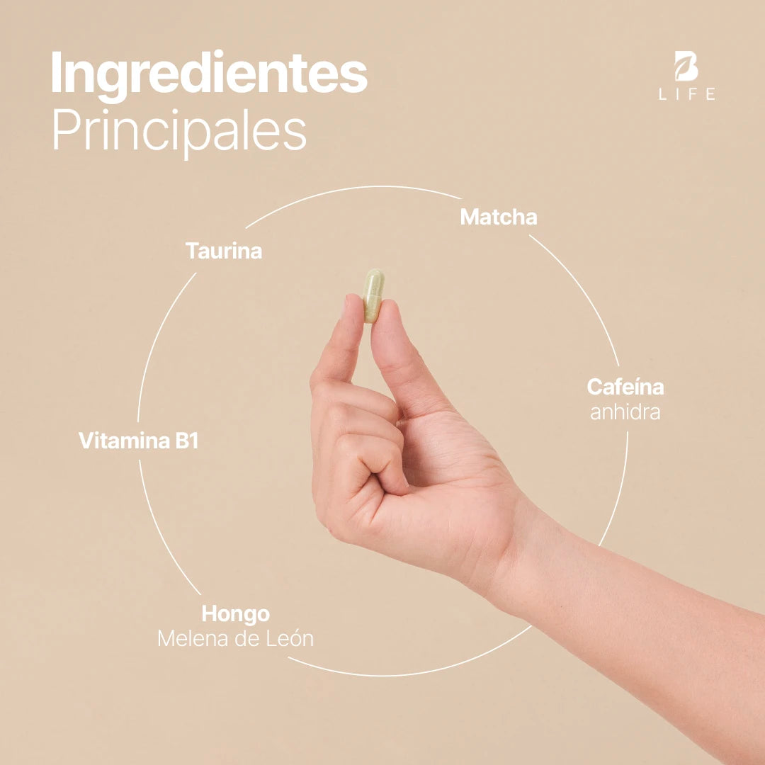 Cafeína Anhidra | con Matcha, Melena de León, Taurina y Vitamina B1 | 240 Cápsulas