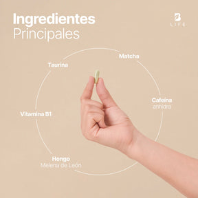 Cafeína Anhidra | con Matcha, Melena de León, Taurina y Vitamina B1 | 240 Cápsulas