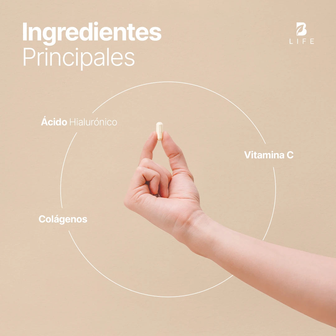 Mezcla de colágenos | Tipo I,II,III,V y X | con Vitamina C