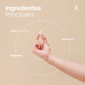 Mezcla de colágenos | Tipo I,II,III,V y X | con Vitamina C