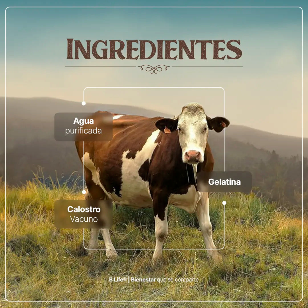 Calostro Vacuno | Concentrado de Nutrientes de la Primera Lactancia | 240 Cápsulas | 1400 mg por porción