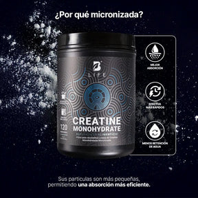 Creatina Monohidratada en polvo | Alta Pureza | 5 g por porción