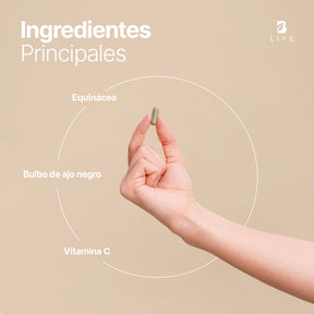 Equinácea | Adicionado con Ajo Negro y Vitamina C | 180 Cápsulas
