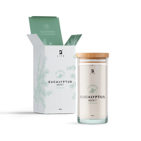 Eucalyptus Mint Aromatic Candle | Vela Aromática Eucalipto y Menta 600 g