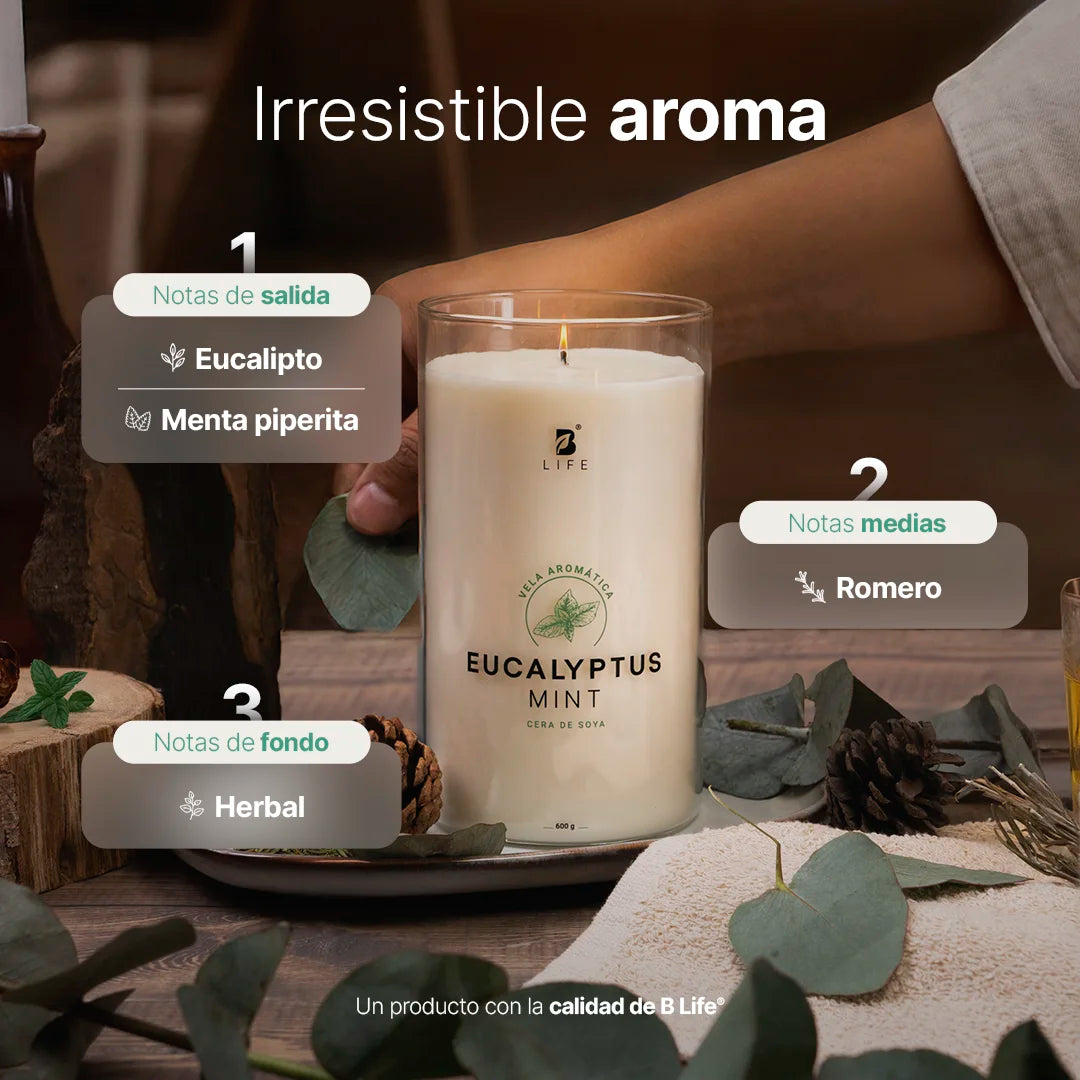 Eucalyptus Mint Aromatic Candle | Vela Aromática Eucalipto y Menta 600 g