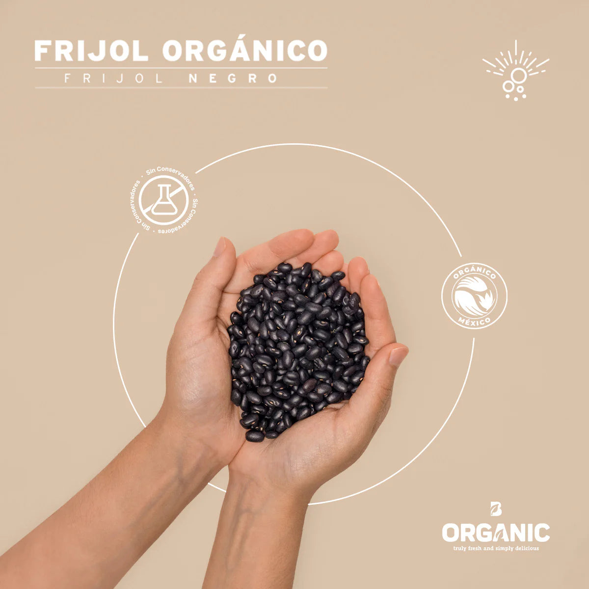 Frijol Negro Orgánico | 2 kg