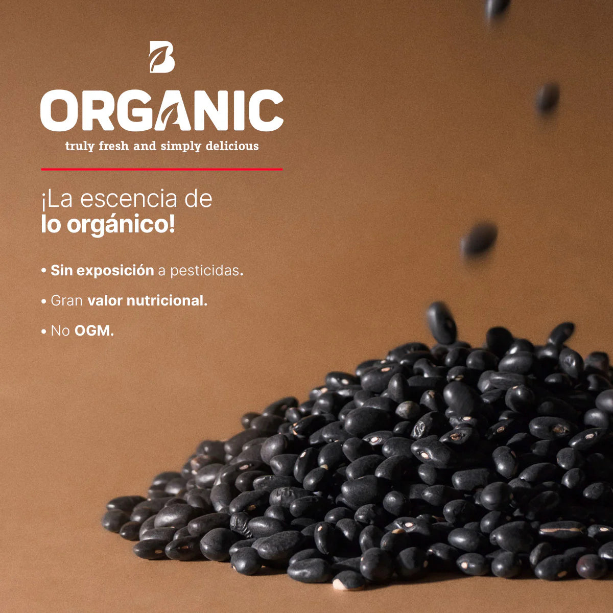 Frijol Negro Orgánico | 2 kg