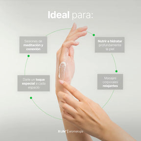 Green Apple Aromatic Candle | Vela Aromática Frutas Verdes 600 g