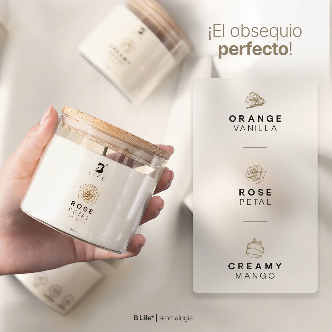 Kit de 3 Velas Summer Dreams 250 g c/u