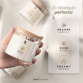 Kit de 3 Velas Summer Dreams 250 g c/u