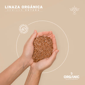 Linaza Orgánica | 1 kg