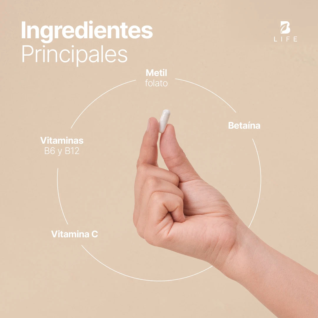 Mezcla con Metilfolato, Vitamina C, B6 y B12 | 500 mg por Cápsula | 180 Cápsulas