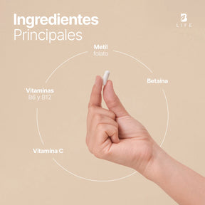 Mezcla con Metilfolato, Vitamina C, B6 y B12 | 500 mg por Cápsula | 180 Cápsulas