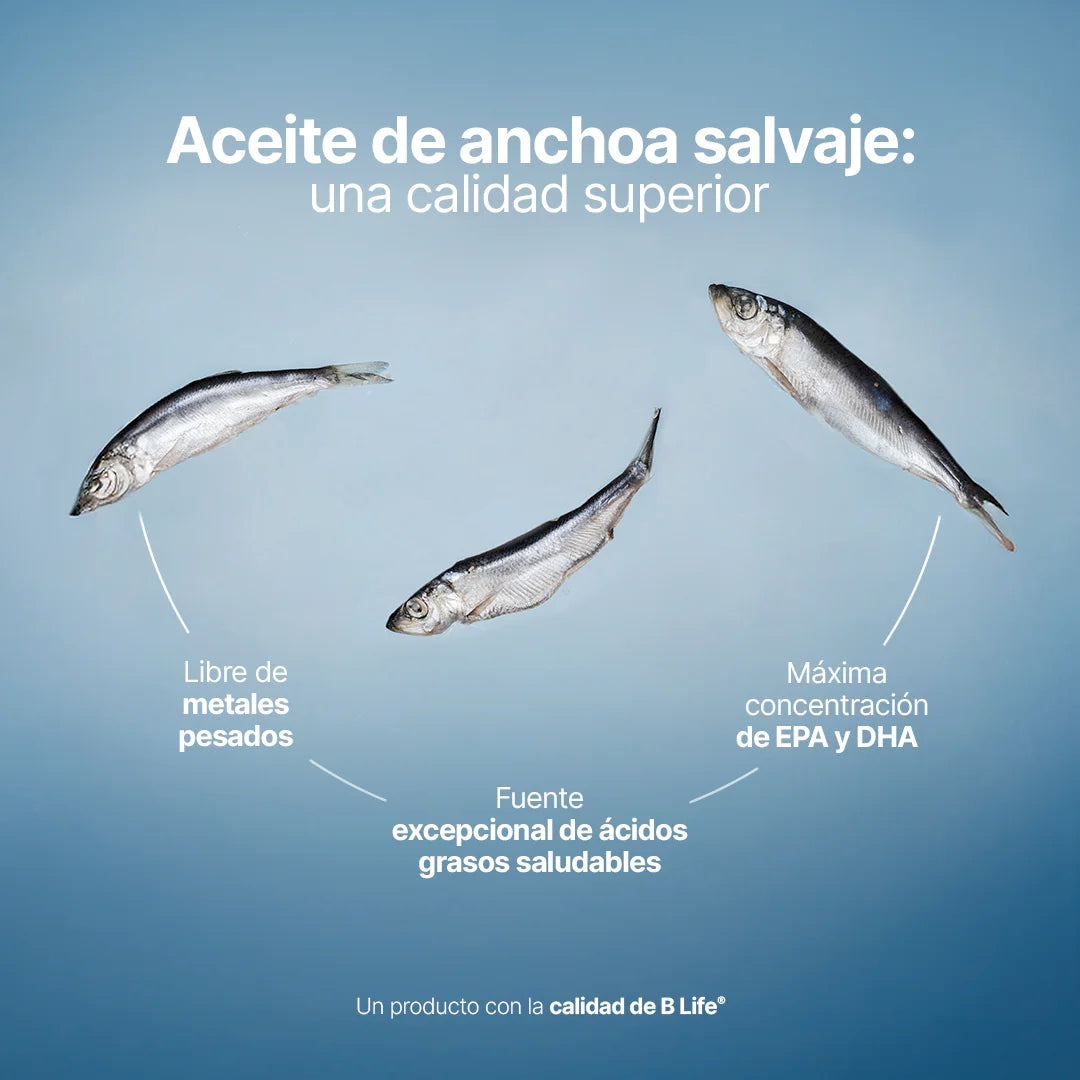 Omega 3 Platinum | Anchoa Salvaje con EPA y DHA | sin Metales Pesados | 1000 mg por porción