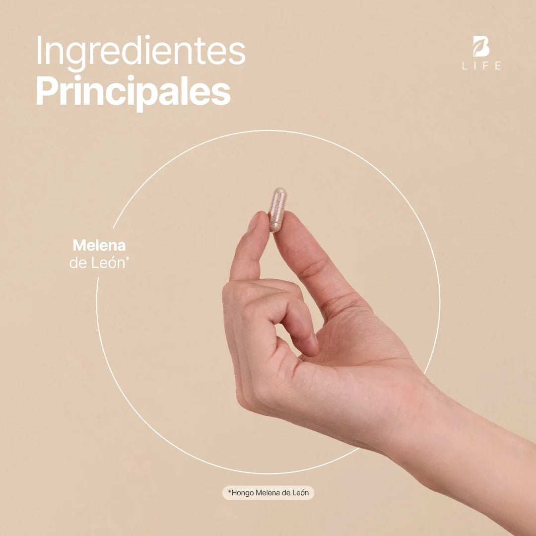 Hongo Melena de León Orgánico | 1000 mg por porción | 180 Cápsulas