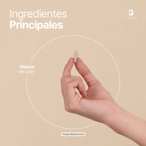 Hongo Melena de León Orgánico | 1000 mg por porción | 180 Cápsulas