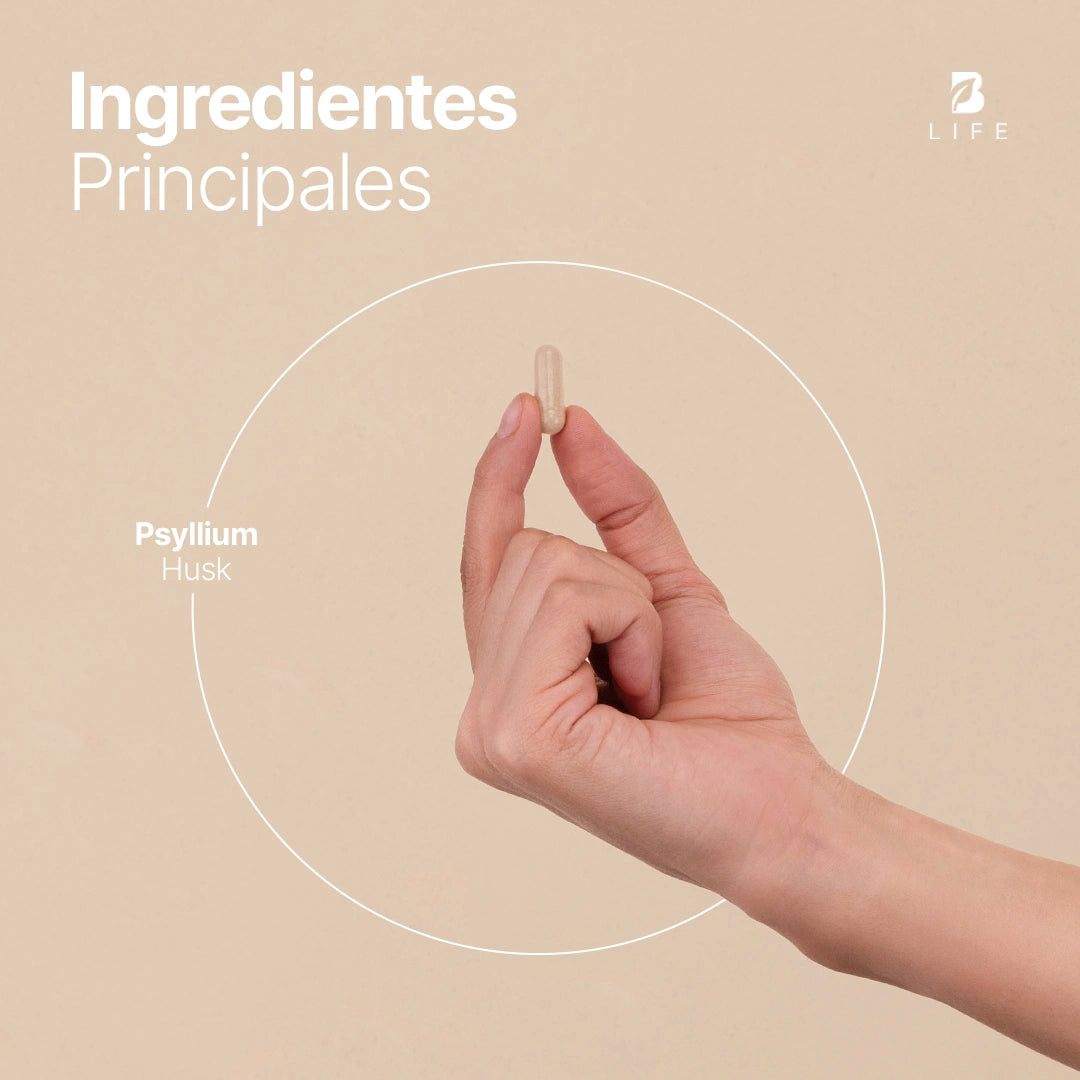 Cápsulas de Psyllium Husk | 2000 mg por Porción | 240 Cápsulas