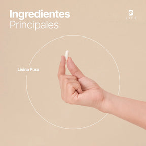 Lisina Pura | 240 cápsulas | 1400 mg por porción