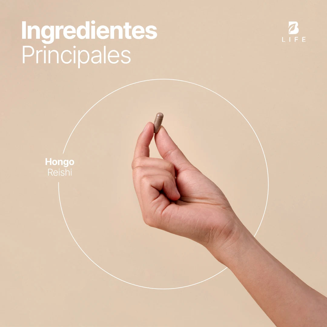 Hongo Reishi | 450 mg de Concentración