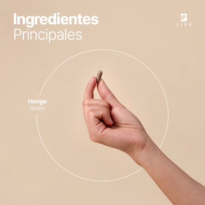 Hongo Reishi | 450 mg de Concentración