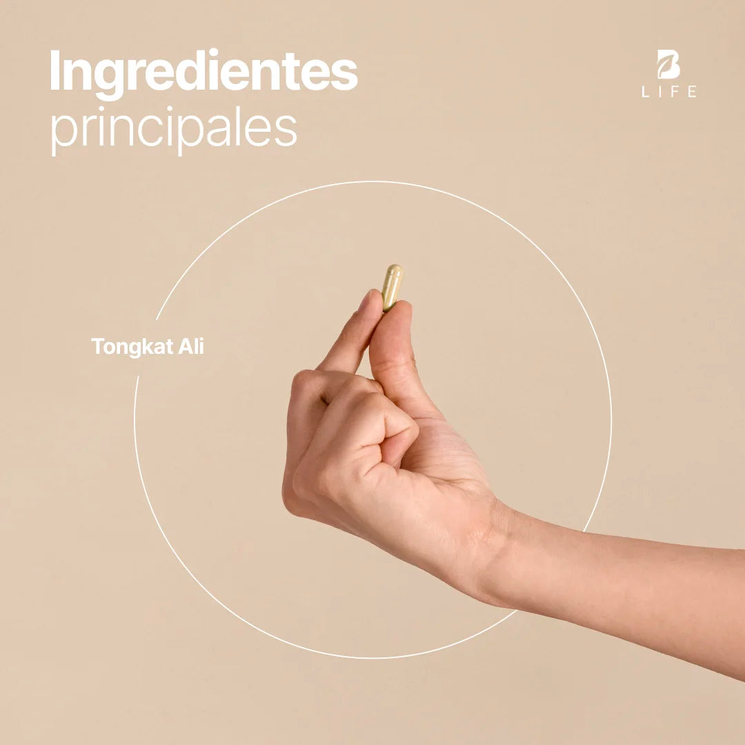 Tong-kat Ali Puro | 1000 mg por porción | 240 Cápsulas