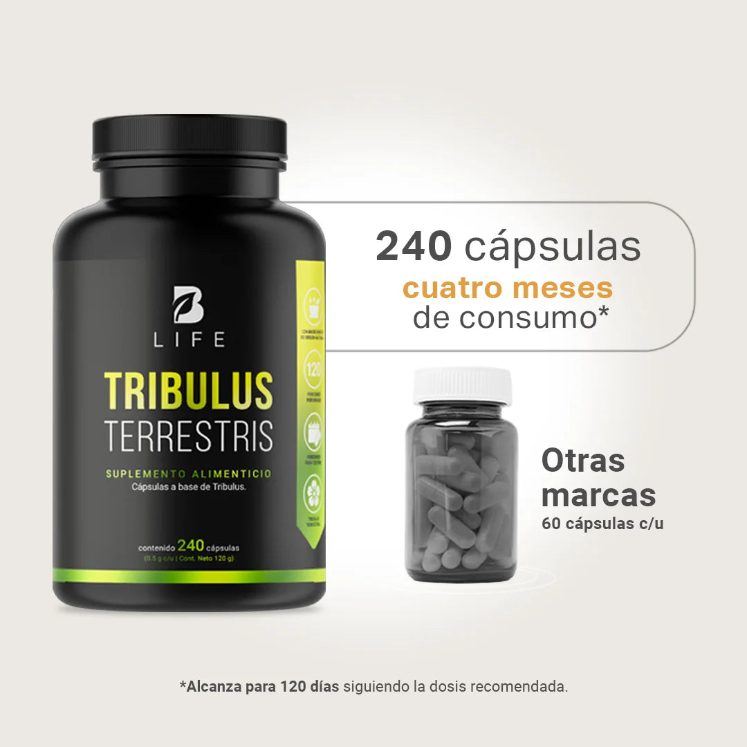 Tribulus Terrestris Estandarizado al 45% | 1000 mg por poción | 240 cápsulas