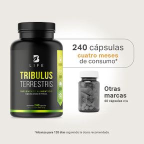 Tribulus Terrestris Estandarizado al 45% | 1000 mg por poción | 240 cápsulas
