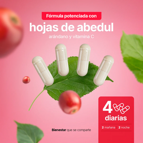 Mezcla con Hojas de Abedul, Arándano y Vitamina C